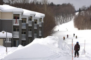 Ski-in, ski-out chaleureux studio loft au pied des pistes de ski